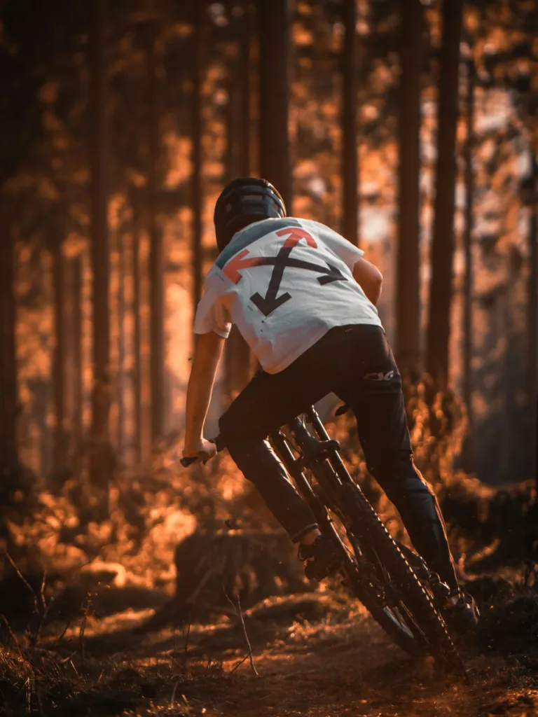 mountain biker at sunset on a forest trail
